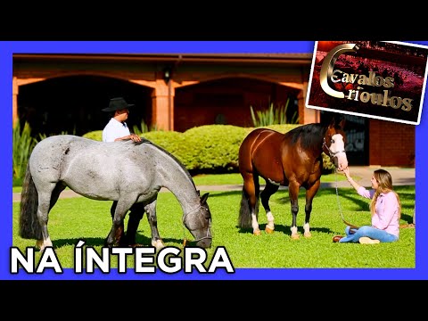 Haras Virgínia berço do cavalo CRIOULO e Quarto de Milha