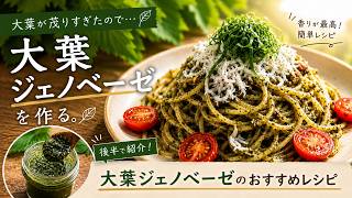 【大葉大量消費】香り最高！簡単ジェノベーゼソースの作り方｜しらすパスタにも