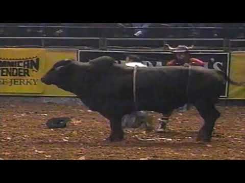 David Fournier vs Black Gold - 97 PBR Birmingham (82 pts)