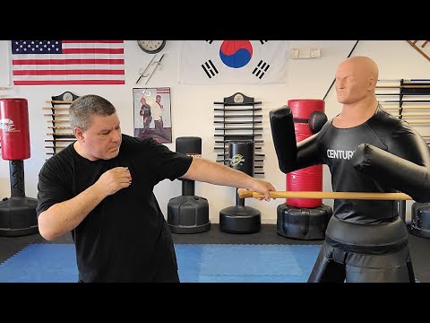 Cane Self Defense with striking one of the best spots on the body the Ribs of an attacker.