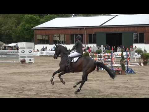 Leovisto (Laucks´s Locke)