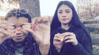 Caviar &amp; Crème Brûlée | UNIVERSAL YUMS