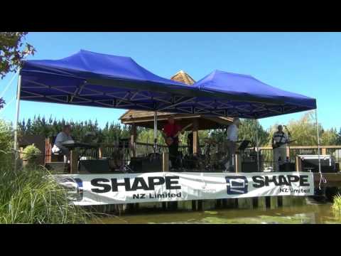 Peter Nelson and The Castaways - Flaxwood Festival 2014