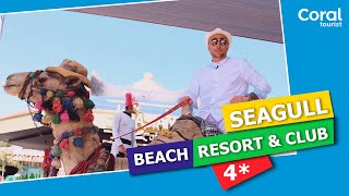 Видео об отеле Sea Gull Beach Resort, 3