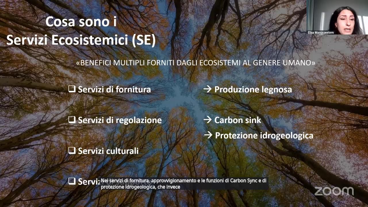 10.00/14.00 premio sc. forestali