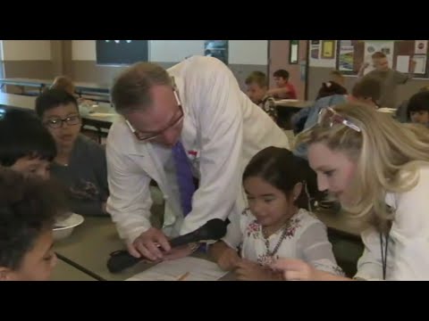 Science with Sarah: Make a water strider