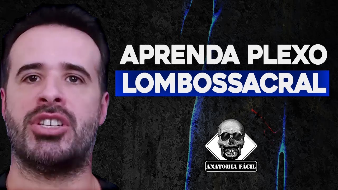 APRENDA PLEXO LOMBOSSACRAL DEFINITIVAMENTE