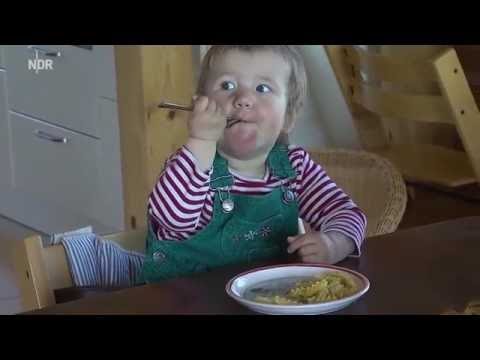 Viehzucht - Frischer Wind im Kuhstall | die nordstory | NDR