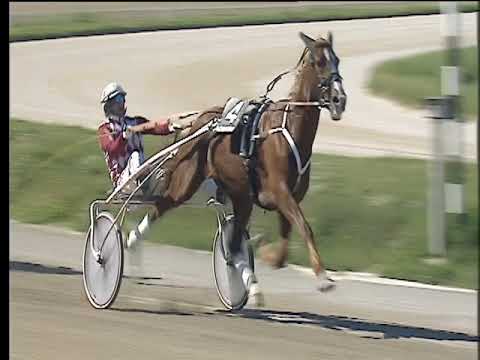 Trotto 02/04/2018 - 3ª corsa