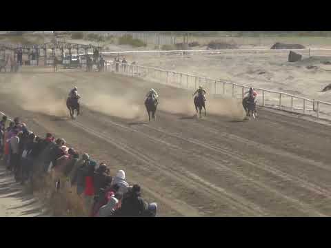ARMAS FOLKLORICO Club Hípico Añelo, Domingo 21 de Septiembre de 2025