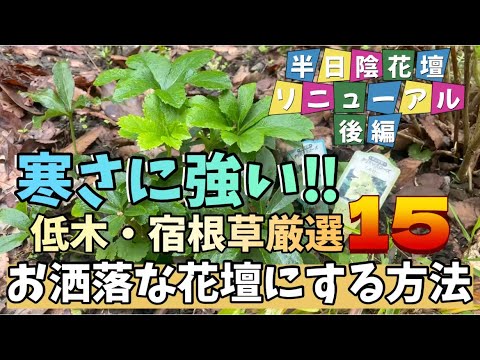 寒風に強い低木シモツケ