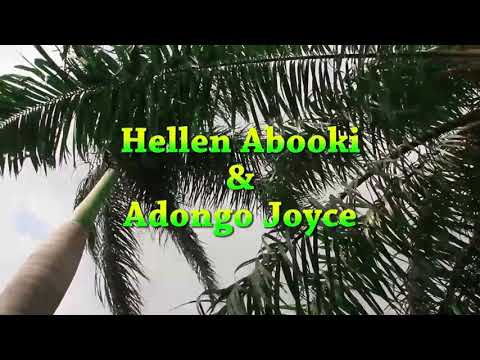 King David atwooki(1)