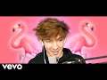 Flamingo Sings Flamingo