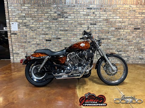 2005 Harley-Davidson Sportster® XL 1200 Custom in Big Bend, Wisconsin - Video 1