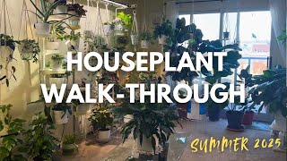 ☀️A Serene Low Light Houseplant Walk-through || My Mom’s Collection 🪴