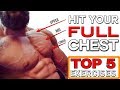TRAINING YOUR ENTIRE CHEST | Top 5 Exercises & Corrections | FIX WEAK POINTS (CHEST DAY)