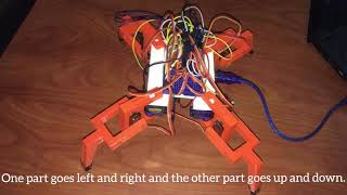 The disaster robot
