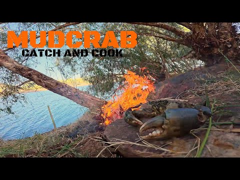Catching Mudcrabs in the Pilbara