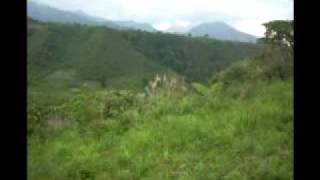 preview picture of video 'Dahilayan, Bukidnon October 1, 2008'