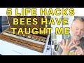5 Life Hacks Bees Have Taught Me