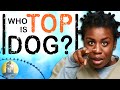 Which Orange Is The New Black Inmate Is TOP DOG Cinematica