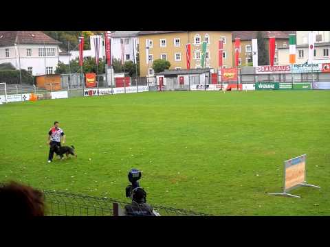 LUCIANO Y BRACK DISCIPLINA WUSV 2012