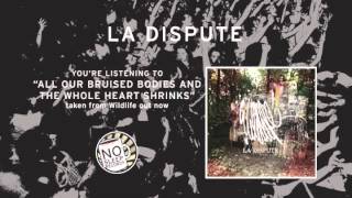 &quot;all our bruised bodies and the whole heart shrinks&quot; by La Dispute taken from Wildlife