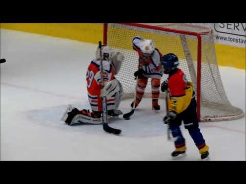 5 gólů Martina Hanzala mladšího (Motor ČB - HC Lvi 2009), 2019