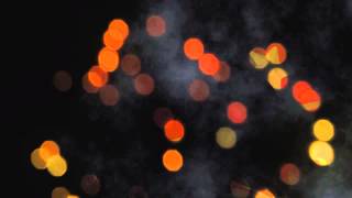 ALL THE STARS ARE OUT TONIGHT