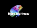 Muse Big freeze 