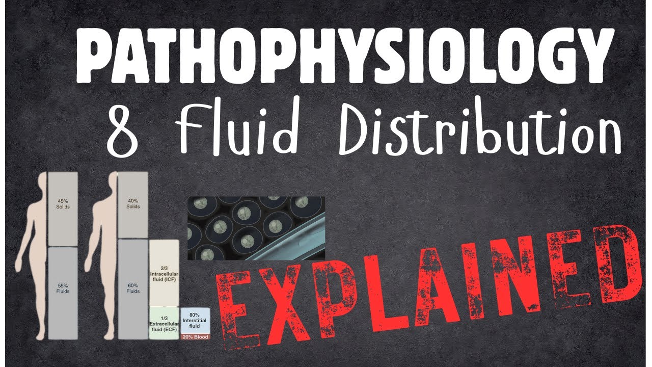 Pathophysiology 8 Fluid Distribution - YouTube