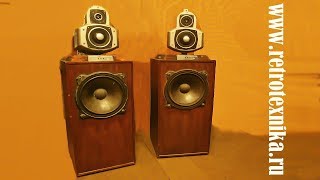 Акустическая система Орбита 100АС-004