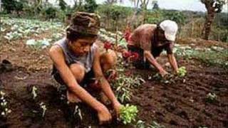 PATRIA QUERIDA (ALVARO TORRES)