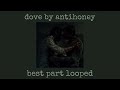 dove by antihoney best part/violin part looped 10 minutes