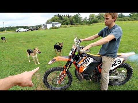DOGS VS DIRTBIKE