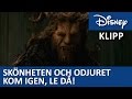 Odjurets Middag Skönheten Och Odjuret