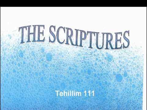 The Scriptures Tehillim 111