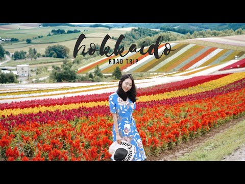 download lagu mp3 mp4 Hokkaido Summer, download lagu Hokkaido Summer gratis, unduh video klip Hokkaido Summer