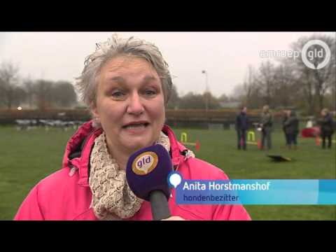 GLD Nieuws 15 november 2015