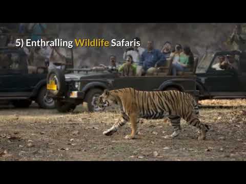 Ranthambore National Park