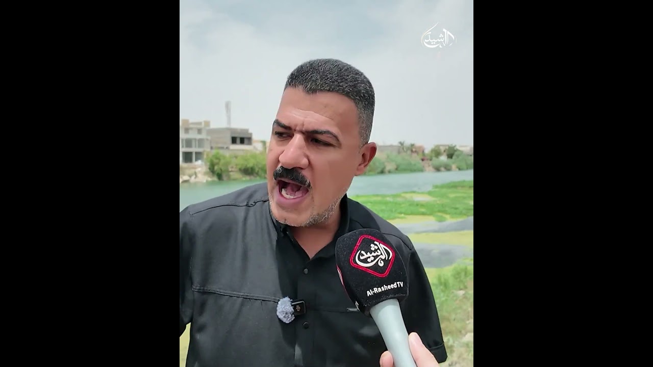 فيديو | غزو أخضر يهدد الفرات.. زهرة النيل تخنق المياه في النجف