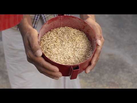 Semi-automatic rice de-husker sema h180, single phase