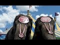 Ringling Bros Eliminating Iconic Elephant Acts