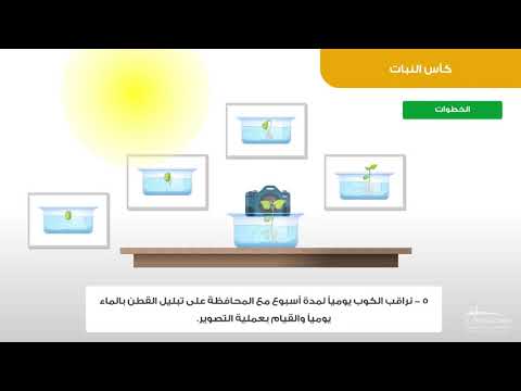 فيديو تعليمي