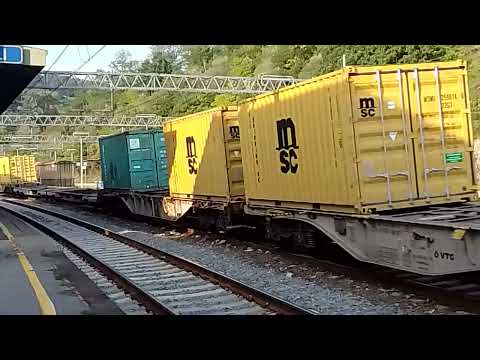 Medway logistica gruppo MSC E 494 233 Sophia