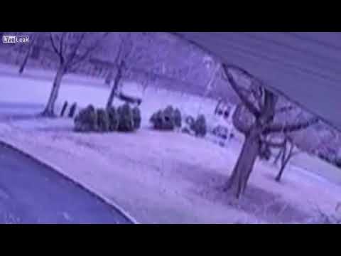 Car Splits In Half After Crashing Into Tree