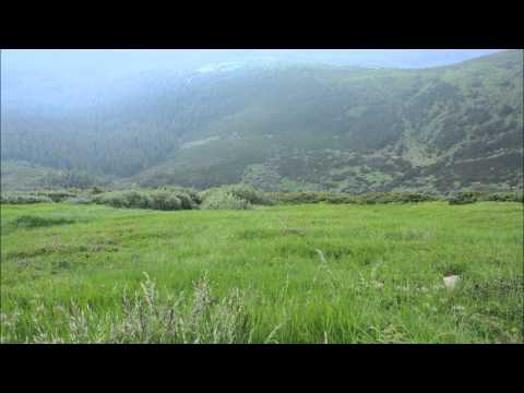 Dmitry Rise January mix 2014