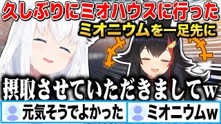 久しぶりにミオハウスに行き、皆より一足お先にミオニウムを摂取して来た白上フブキw【切り抜き/ホロライブ】