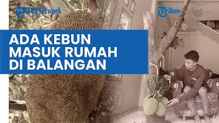 Kebun Masuk Rumah, Inovasi Unik Pemilik Bangunan di Balangan Kalsel