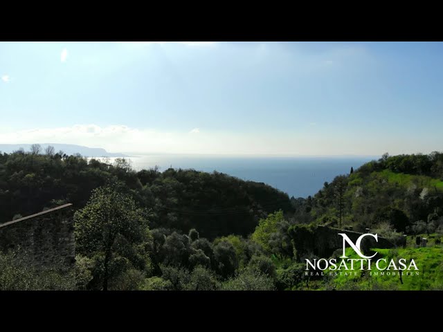 Edificio rustico con uliveto vista lago